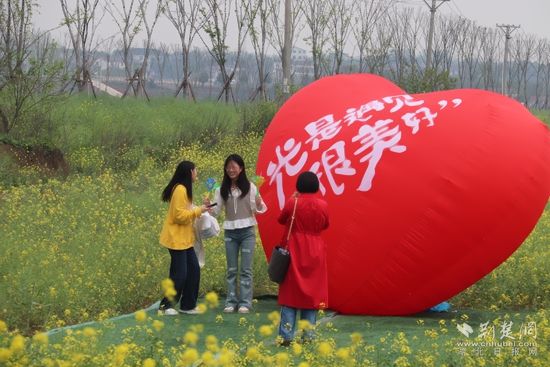 4月3日奶牛場油菜花海文旅活動(dòng) (3).jpg.jpg